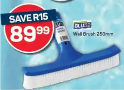 Pick n Pay Wall Brush 250mm offer