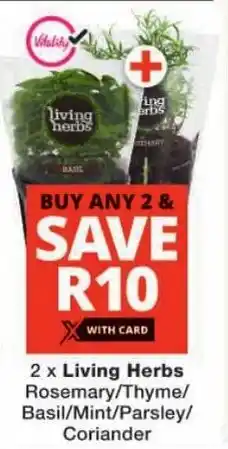 Checkers Living Herbs Rosemary/ Thyme/ Basil/ Mint/ Parsley/ Coriander offer