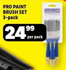 Usave Pro paint brush set offer