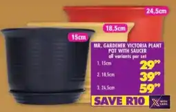 Shoprite Mr. gardener victoria plant pot with saucer offer