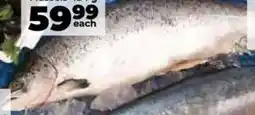 Food Lover's Market Whole Norwegian Salmon offer