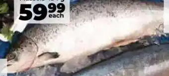 Food Lover's Market Whole Norwegian Salmon offer