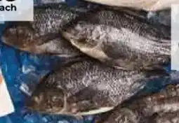 Food Lover's Market Nile Harvest Tilapia offer