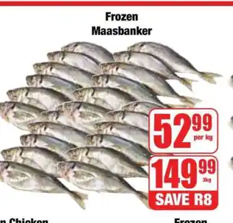 Boxer Frozen Maasbanker offer