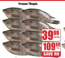 Boxer Frozen Tilapia offer