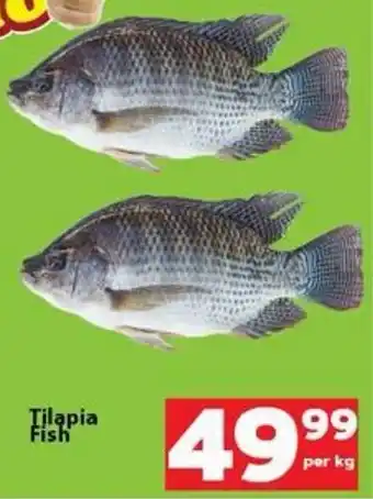Check Save Tilapia Fish offer