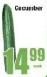 Boxer Cucumber offer