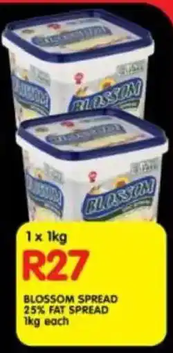 Shoprite Blossom spread 25% fat spread offer