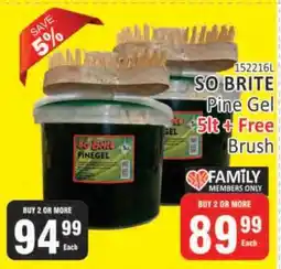 KitKat Cash and Carry SO BRITE Pine Gel 5lt + Free Brush offer