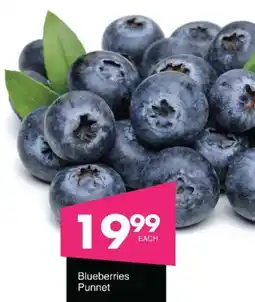Save Blueberries Punnet offer