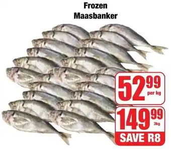Boxer Superstores Frozen Maasbanker offer