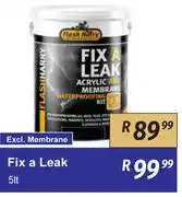 K Carrim Flash Harry Fix A Leak-5L offer