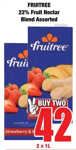 Boxer Superstores FRUITREE 22% Fruit Nectar Blend Assorted offer