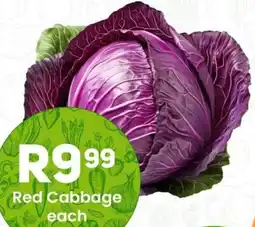 Take 'n Pay Red Cabbage offer