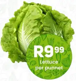 Take 'n Pay Lettuce offer