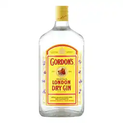 Pick n Pay Liquor Gordon's London Dry Gin 1L offer