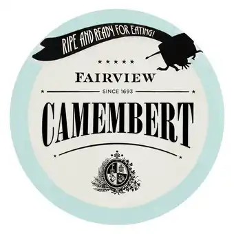 Pick n Pay Liquor Fairview Camembert Cheese 125g offer