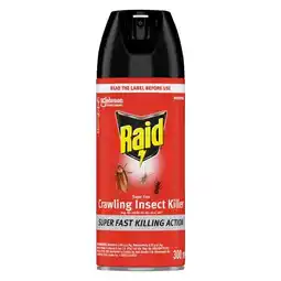 Pick n Pay Liquor Raid Super Fast Insecticide 300ml offer