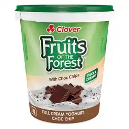 Pick n Pay Liquor Clover Fruits Of The Forest Choco Chip Full Cream Yoghurt 1kg offer