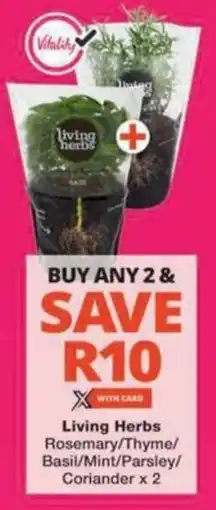 Checkers Hyper Living Herbs Rosemary/ Thyme/ Basil/ Mint/Parsley/ Coriander offer