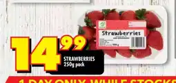 Shoprite STRAWBERRIES 250g pack offer