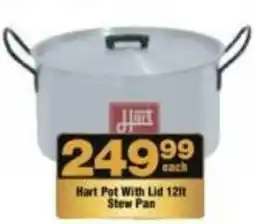 Check Star Hart Pot With Lid Stew Pan offer
