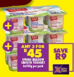 Shoprite SPRING MEADOW SMOOTH YOGHURT offer