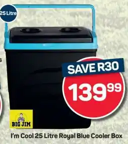 Pick n Pay I'm Cool 25 Litre Royal Blue Cooler Box offer