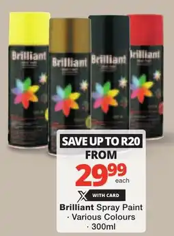Checkers Brilliant Spray Paint offer