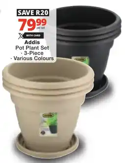 Checkers Addis Pot Plant Set offer