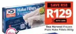 Checkers Sea Harvest Frozen Plain Hake Fillets offer