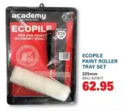 Cashbuild Academy ecopile paint roller tray set offer