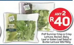 Pick n Pay PnP Summer Crisp or Crisp Lettuce, Rocket, Baby Leaf or Italian Leaf Salad or Butter Lettuce offer