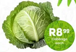 Take 'n Pay Cabbage offer