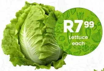 Take 'n Pay Lettuce offer