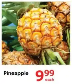 Oxford Freshmarket Pineapple offer