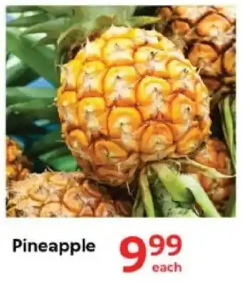 Oxford Freshmarket Pineapple offer