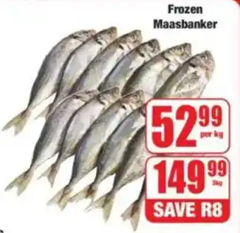 Boxer Frozen Maasbanker offer