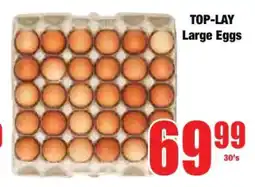 Boxer TOP-LAY Large Eggs offer