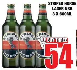 Boxer Liquors Striped horse lager nrb offer