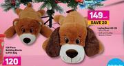 Game Laying Bear 80cm-Each offer