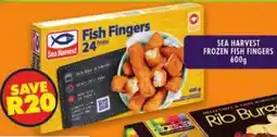 Shoprite Sea harvest frozen fish fingers offer