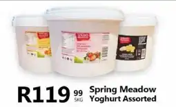 Take 'n Pay Spring Meadow Yoghurt Assorted offer