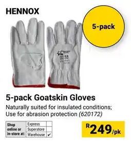 Builders Warehouse Hennox Goatskin Gloves offer