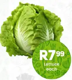 Take 'n Pay Lettuce offer