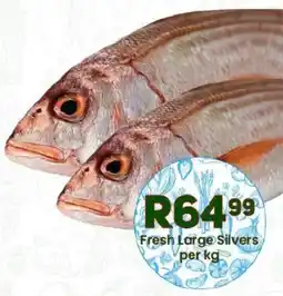 Take 'n Pay Fresh Large Silvers offer
