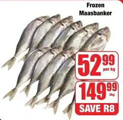 Boxer Superstores Frozen Maasbanker offer