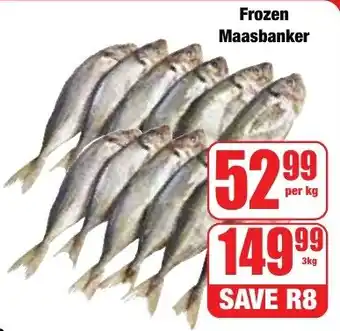 Boxer Superstores Frozen Maasbanker offer