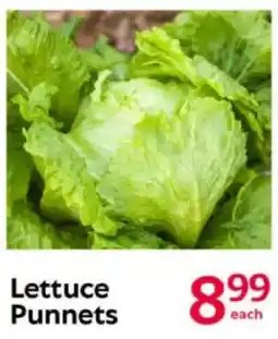 Oxford Freshmarket Lettuce Punnets offer