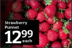 Oxford Freshmarket Strawberry Punnet offer